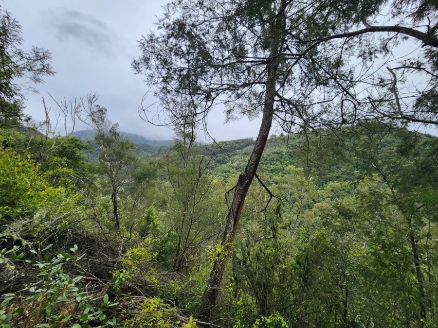 Commercial Property for Sale in Hoekwil Western Cape